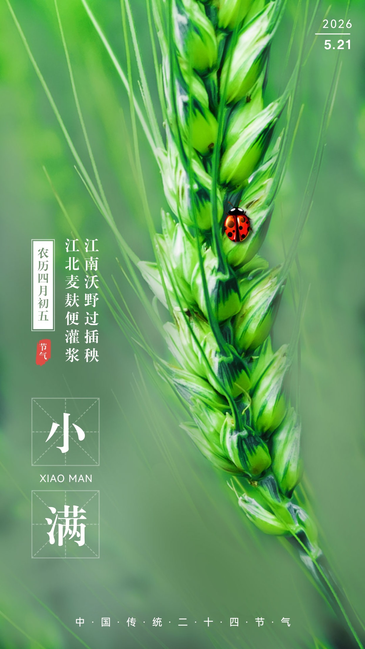 微信图片_20260521085218_173_24.jpg